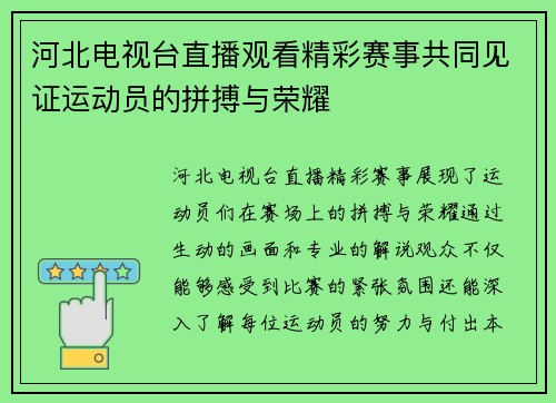 河北电视台直播观看精彩赛事共同见证运动员的拼搏与荣耀